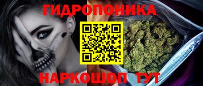 PSILOCYBIN Берёзовский