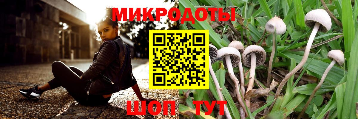 Псилоцибиновые грибы Psilocybine cubensis  Вход с VPN  Заволжье  Галлюциногенные грибы Psilocybine cubensis 